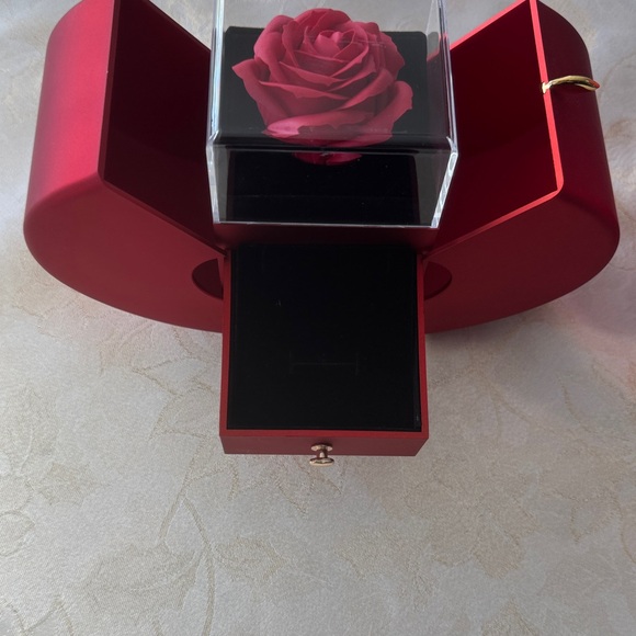 Apple Gift Box - Picture 9 of 15